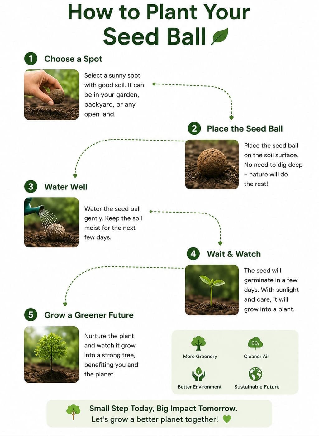 Biopure Seed Balls View 3